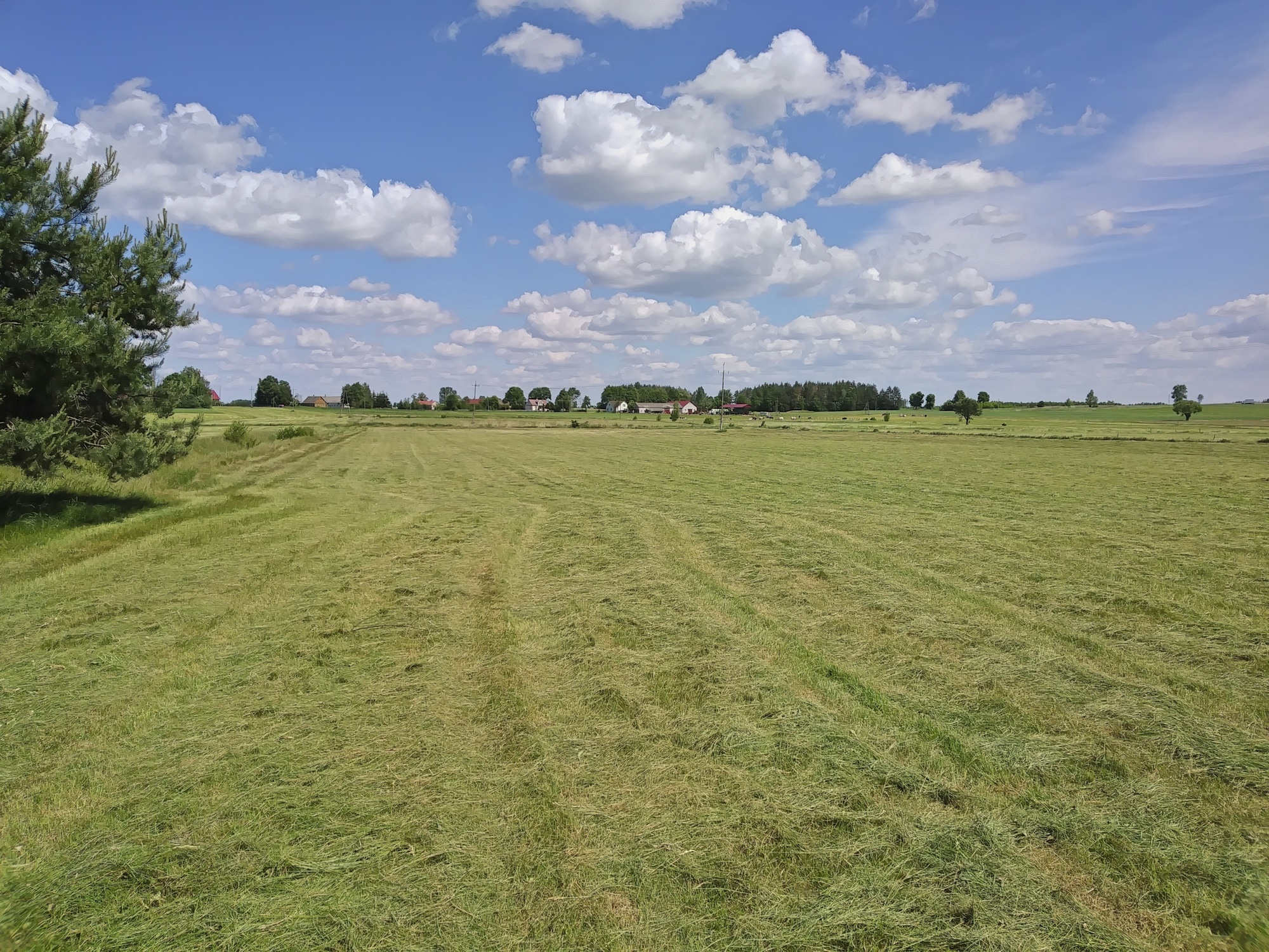 28-Moniuszki, grodzisko nizinne. Fot. L. Pawlata.jpg